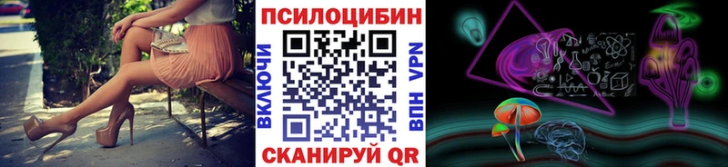 Галлюциногенные грибы Psilocybine cubensis  купить закладку  Михайловск 