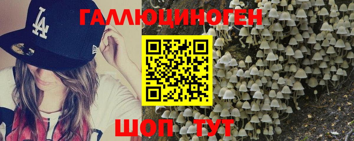 Михайловск  Псилоцибиновые грибы мухоморы  Вход с VPN 